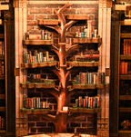 Library "Rings of Wisdom"