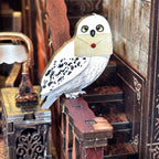 Magic Library